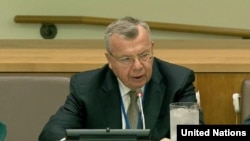 UNODC İcra Direktörü Yury Fedotov